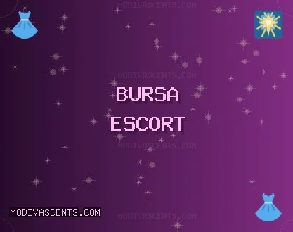 Bursa Escort: Yıldırım Escort, Gemlik Escort, Karacabey Escort