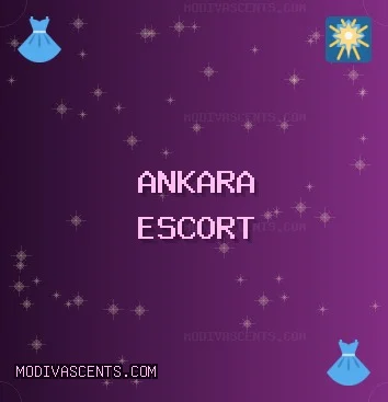 Ankara Escort: Akyurt Escort, Elmadağ Escort, Sincan Escort